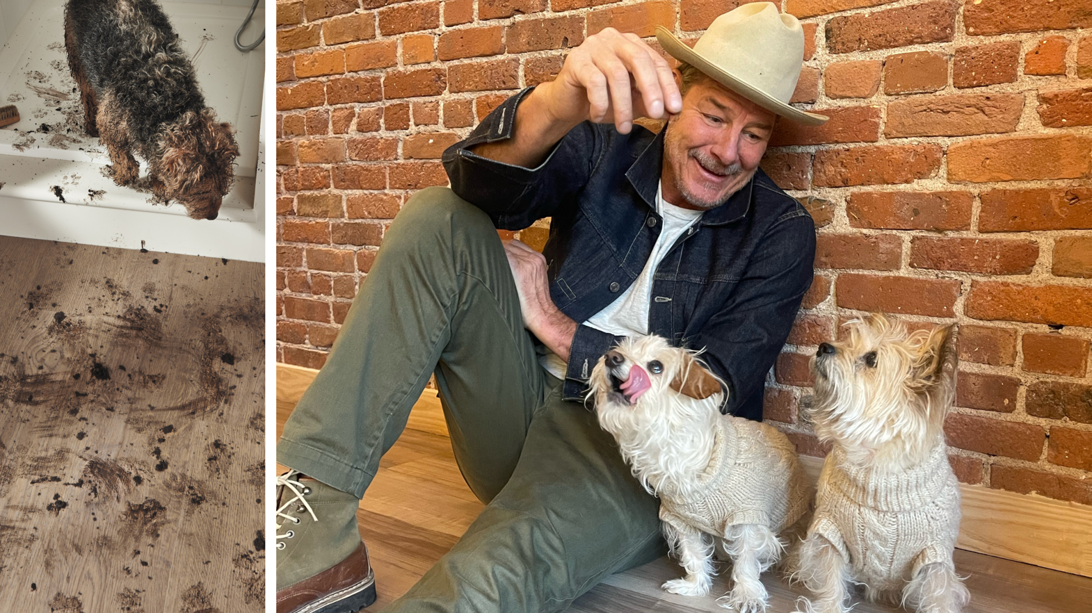 Ty Pennington and his dogs on Karndean LVP floors - "you don't have to worry about muddy paws"