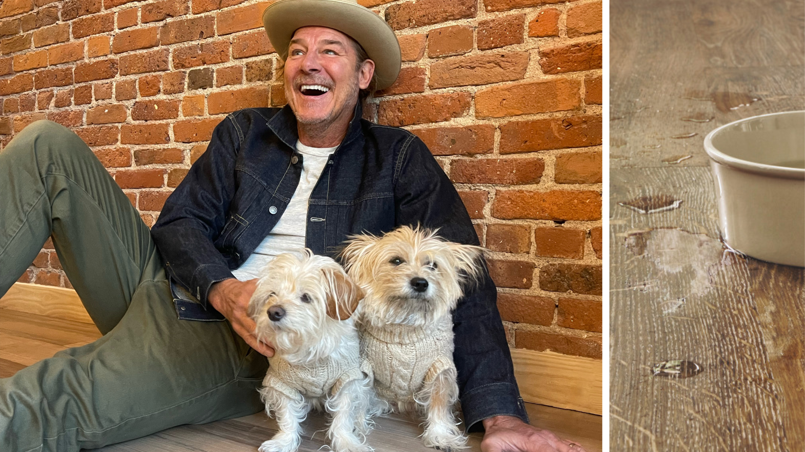 Water splashes on Karndean lvt floors and Ty Penington with his dogs