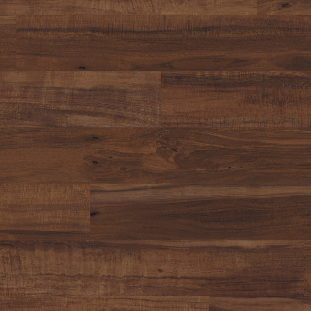 Ohana Koa gluedown lvt floors from the Van Gogh collection